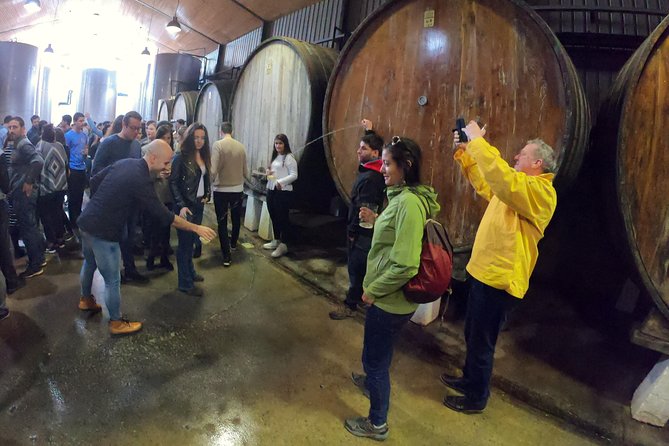 Live in the Cider House, the Tradition of the Txotx. - Price and Group Size