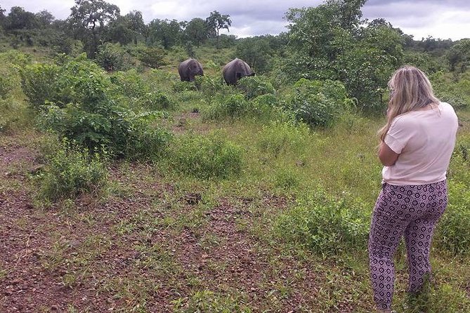 Livingstone Game Drive In The Mosi-Oa-Tunya National Park - Tour Operator Information