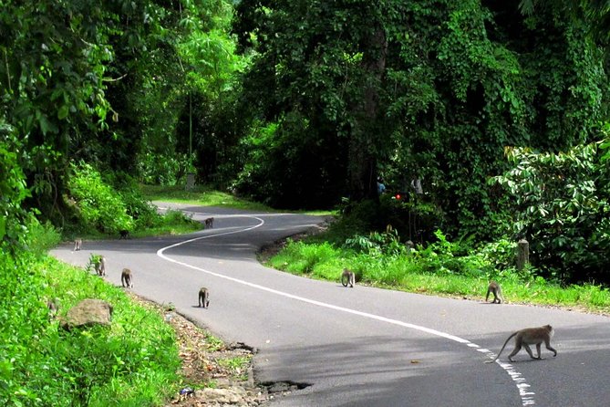 Lombok Waterfall Day Tour With Private Transport - Frequently Asked Questions
