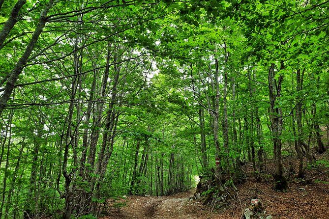 Lovcen Mountain Circle Panoramic - Hiking Tours in Montenegro - Reservation Process