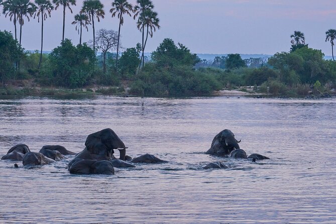 Lunch Cruise on the Zambezi River Above the Victoria Falls - Alcoholic Beverages