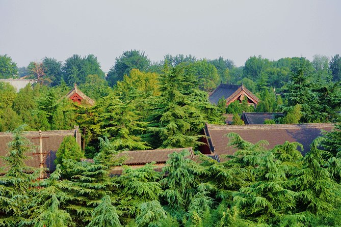 Luoyang Excursion by High-Speed Train With Longmen Grottoes & White Horse Temple - Important Notes for Travelers