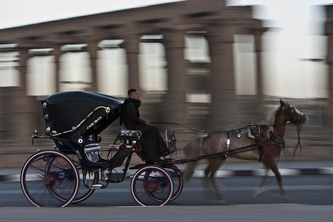 Luxor City Tour By Horse Carriage - Cancellation Policy