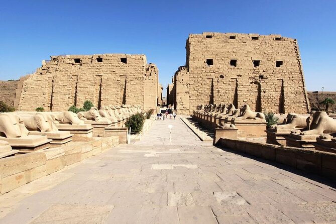 Luxor Highlights Day Tour From Safaga Port - Lowest Price Guarantee