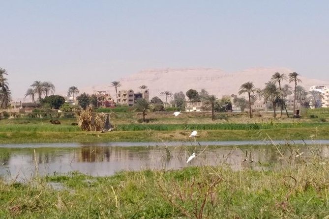 Luxor Top Tourist Attractions From Hurghada by Bus - Booking and Cancellation Policy