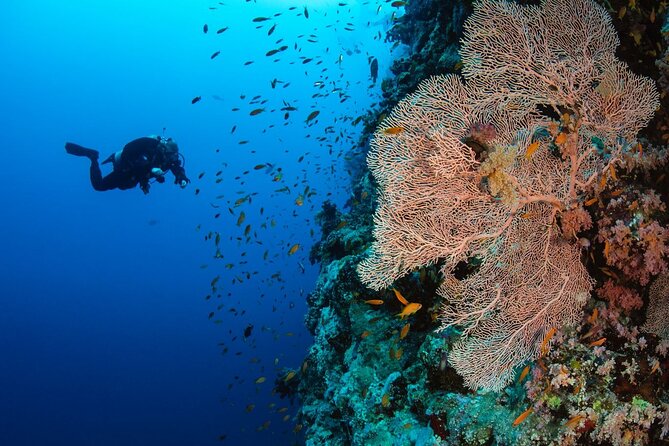 Luxury Private Speedboat Excursion Departing From Hurghada - Pricing Overview