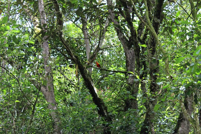 MACHU PICCHU BY CAR 2 Days - Pricing Information