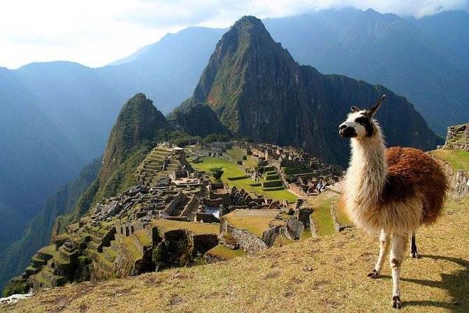 Machu Picchu, Historic Sanctuary by Vistadome Train - Full Day - Accessibility: Stroller and Wheelchair Accessible