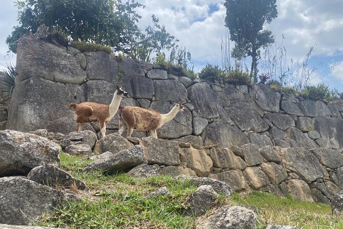 Machu Picchu & Huchuyqosqo Trek 2 Days - Booking Process