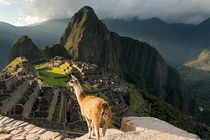 Machu Picchu Wonderful Full Day With Panoramic Train - Experience Highlights