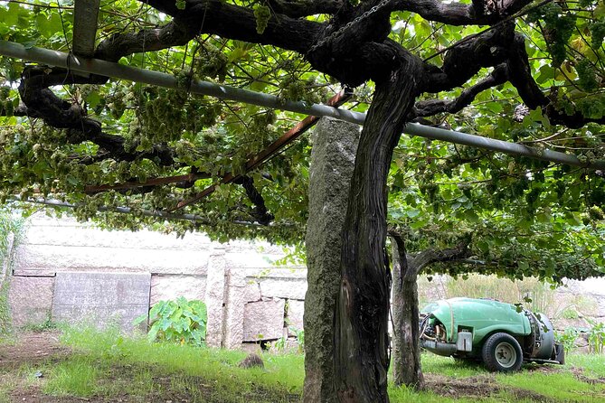 Madrids Wines and Tabernas: A Self-Guided Audio Tour - Additional Info