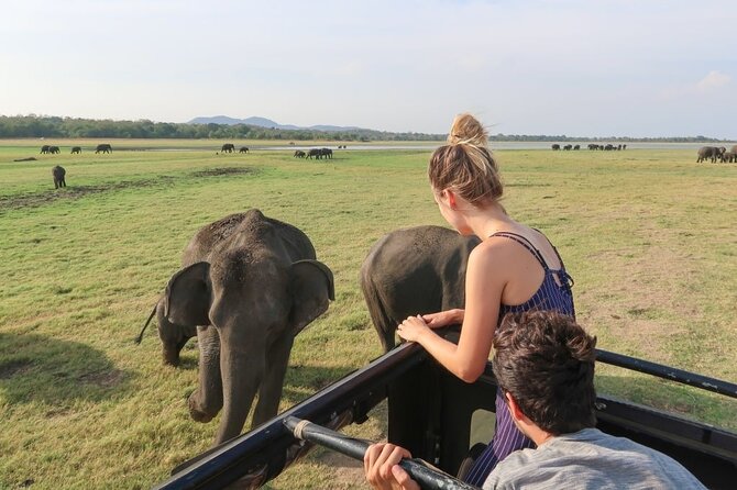 Maduru Oya Safari and Indigenous Village Day Trip From Ella - Cancellation Policy and Refunds