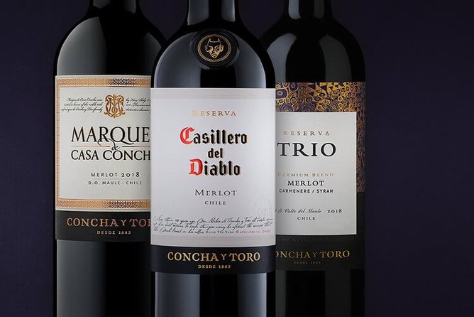 Maipo Valley Wine Tour, Concha Y Toro, Private Transfer From Santiago - The Sum Up