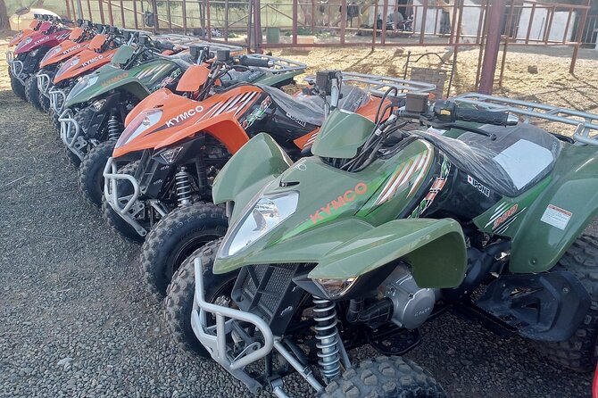 Majorelle Garden & Palmeraie Quad Biking: Marrakech Adventure - Pricing Information