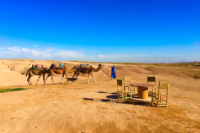 Majorelle Gardens,Desert Camel Riding , Lunch in a Tent and Atlas Private Tour - Customer Reviews