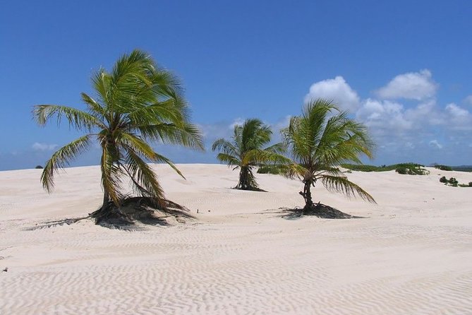 Mangue Seco Day Trip: Boat Ride, Sand Dunes and Swimming - Itinerary Overview