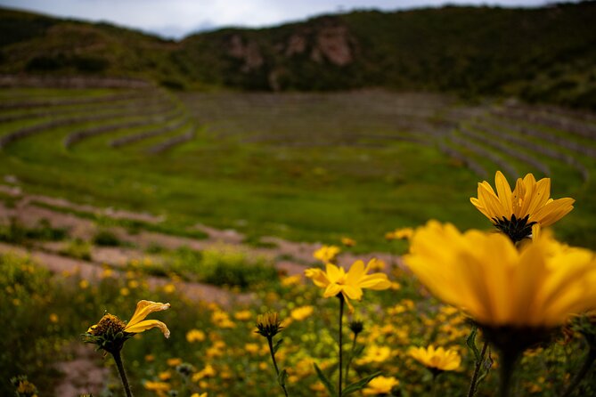 Maras Moray and Salineras Half-Day Private Tour In Cusco - Pricing Details
