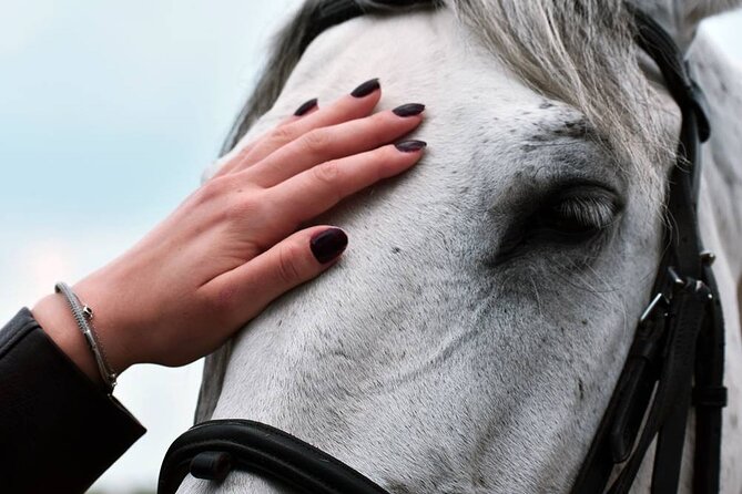 Marmaris Horse Riding With Friendly Horses & Professional Trainer - Booking Process