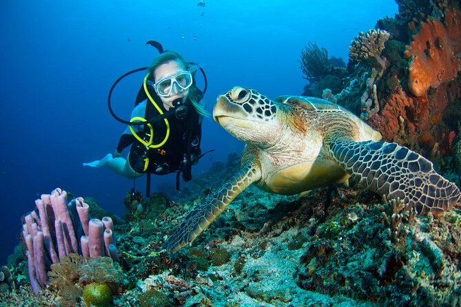 Marmaris Scuba Diving Trip With Two Dives, Lunch & Transfer - Participant Guidelines