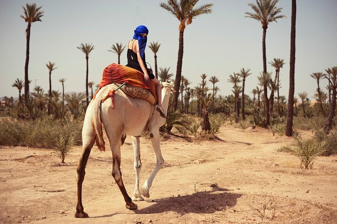 Marrakech Camel Ride 02 Hours Pick-Up &Drop-Off - Cancellation and Refund Policy