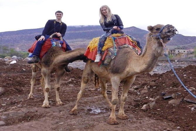 Marrakech: Day Trip to the Berber Villages and 3 Valleys Tour - Highlights of the Tour
