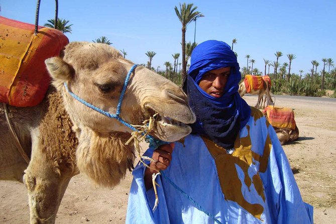 Marrakech Experience: PalmGrove Camel Ride Excursion - Operated by Top Excursions-Italy