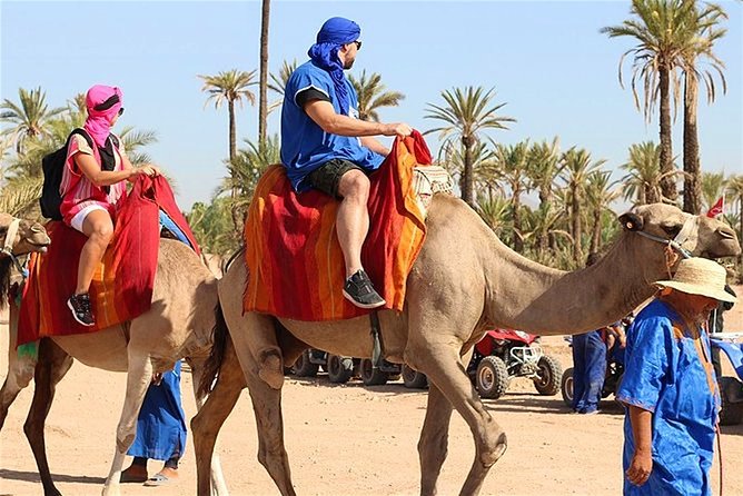 Marrakech Experience: PalmGrove Camel Ride Excursion - Tour Options Available
