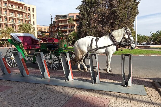Marrakech Night or Day Tour in a Horse Drawn Carriage - Pickup Locations