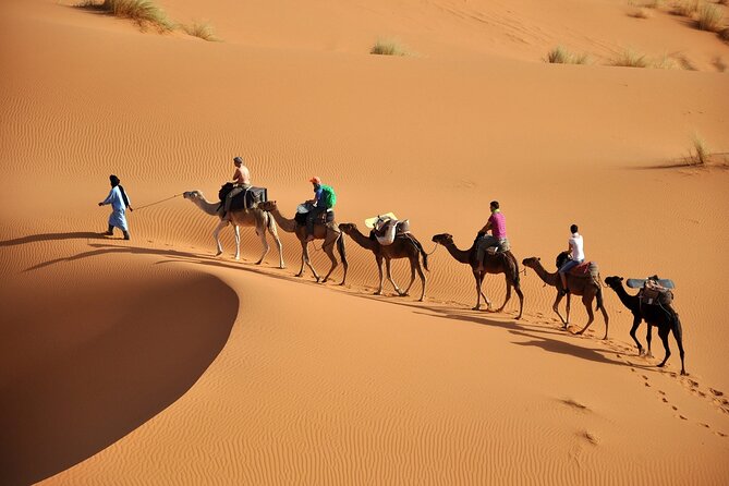 Marrakech to Merzouga Small Group Shared Desert Tour - Transportation Information