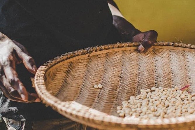 Materuni Waterfalls & Coffee Tour - The Sum Up
