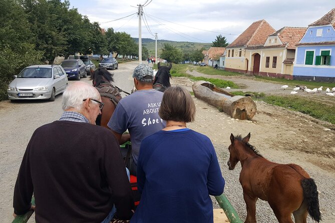 Medieval Sighisoara & Viscri With Horse Cart & Traditional Lunch From Brasov - Tour Highlights