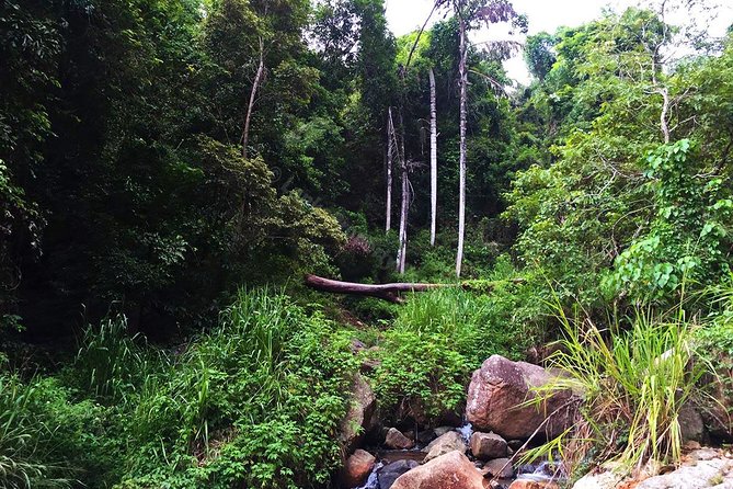 Meditation & Music Therapy at Polgahaamuna Waterfall - Directions and Accessibility
