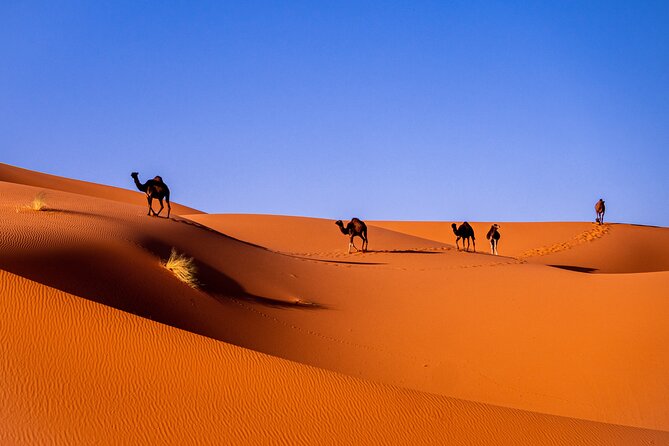 Merzouga Desert: 3 Days From Marrakech to Fes - Itinerary Overview