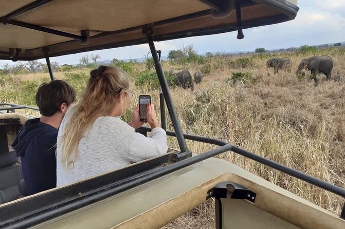 Mikumi National Park Day Trip From Dar Es Salaam Departure 3am - Expectations and Additional Info