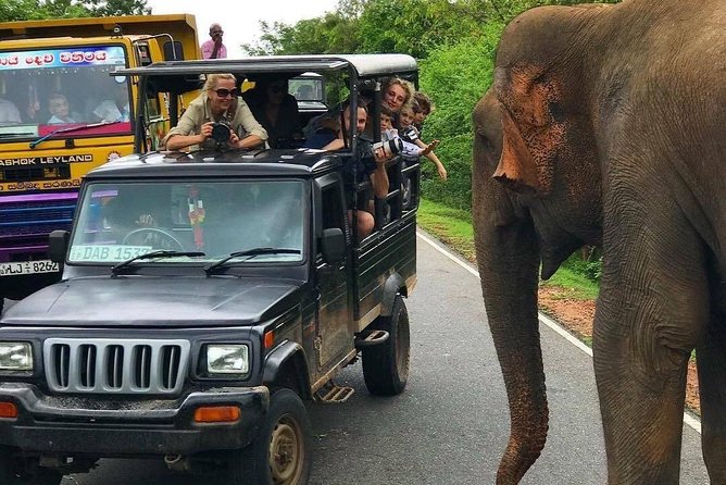 Minneriya National Park Private Jeep Safari From Habarana - Gratuities and Additional Costs