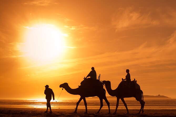 Mogador Camel Expedition Ecotour | Private & Luxury - Additional Information