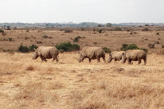 Mombasa and Diani Beaches Day Trips to Tsavo Park - Tour Requirements