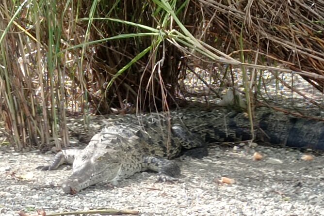 Mono Island and Panama Canal Tour - Cancellation Policy
