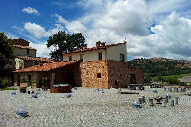 Montalcino and Pienza Tuscany Wine&Cheese Shoreexcursion From Civitavecchia Port - Booking Tips