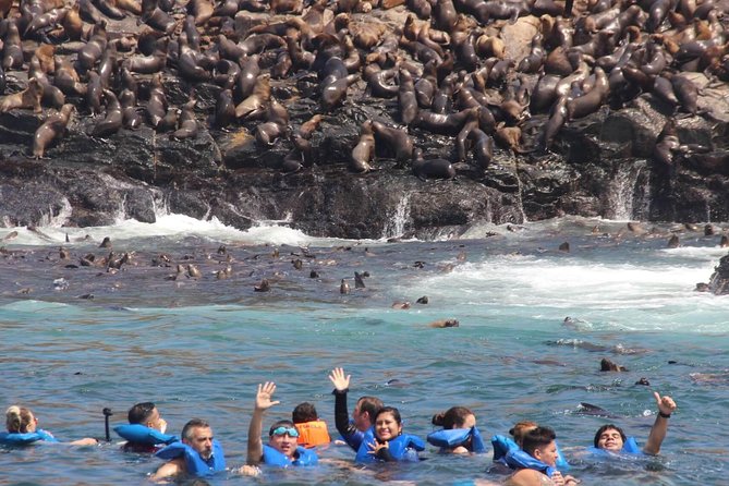 Morning: Palomino Island Tour - Pricing and Booking Policy