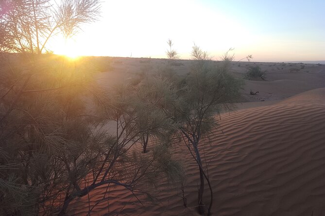 Moroccan Desert : Expenrience Wild Camp MHamid - Location