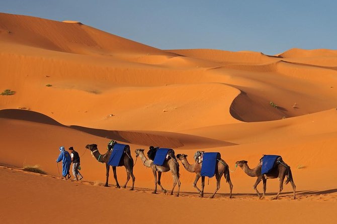 Morocco: Desert Tours From Marrakech to Fez 3 Days - The Sum Up