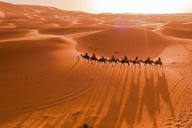 Morocco Tour Private 10-Days From Tangier to Merzouga, Marrakech. - Meals Provided