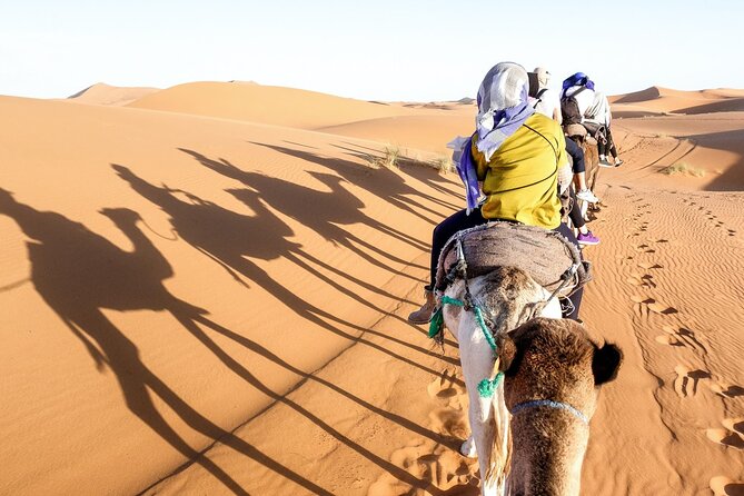 Moto Full Day Desert And Jeep Ride & BBQ Dinner From Marsa Alam - Group Size and Operator Information