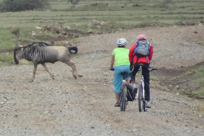 Motorcycle Tour Kilimanjaro to Great Rift Valley - Booking Information