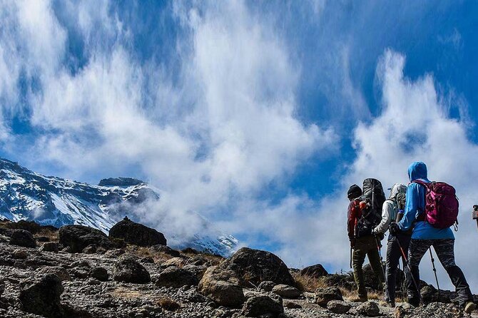 Mount Kenya National Park Full-Day Hike - Price and Booking