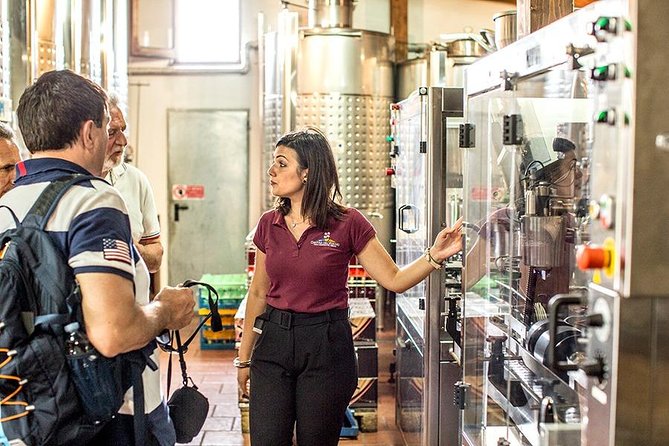 Mount Vesuvius & Wine Tasting With Lunch Private Tour From Naples - Booking Details