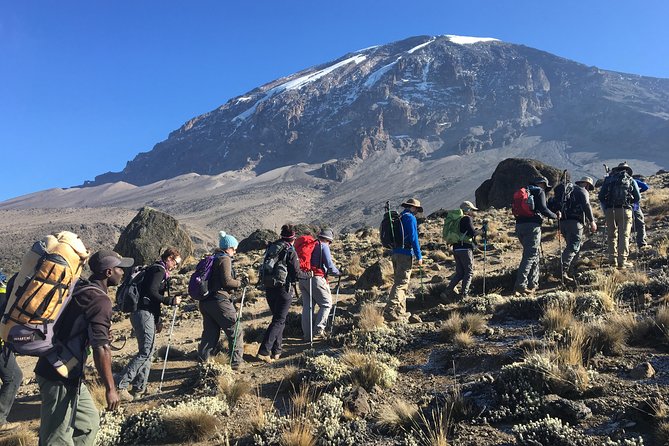 Mt. Kilimanjaro Climb, 7 Days Machame Route - Meeting and Pickup