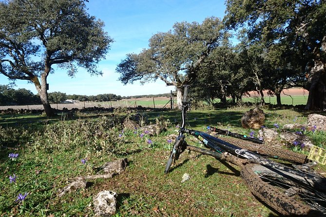 MTB (Self-Guided) - Bandits Trail - 45km Intermediate - Booking and Reservation