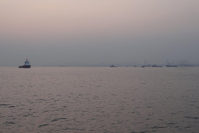 Mumbai- Half Day Visit to ELEPHANTA CAVES- Collection of Ancient Temple Caves - Accessibility Information